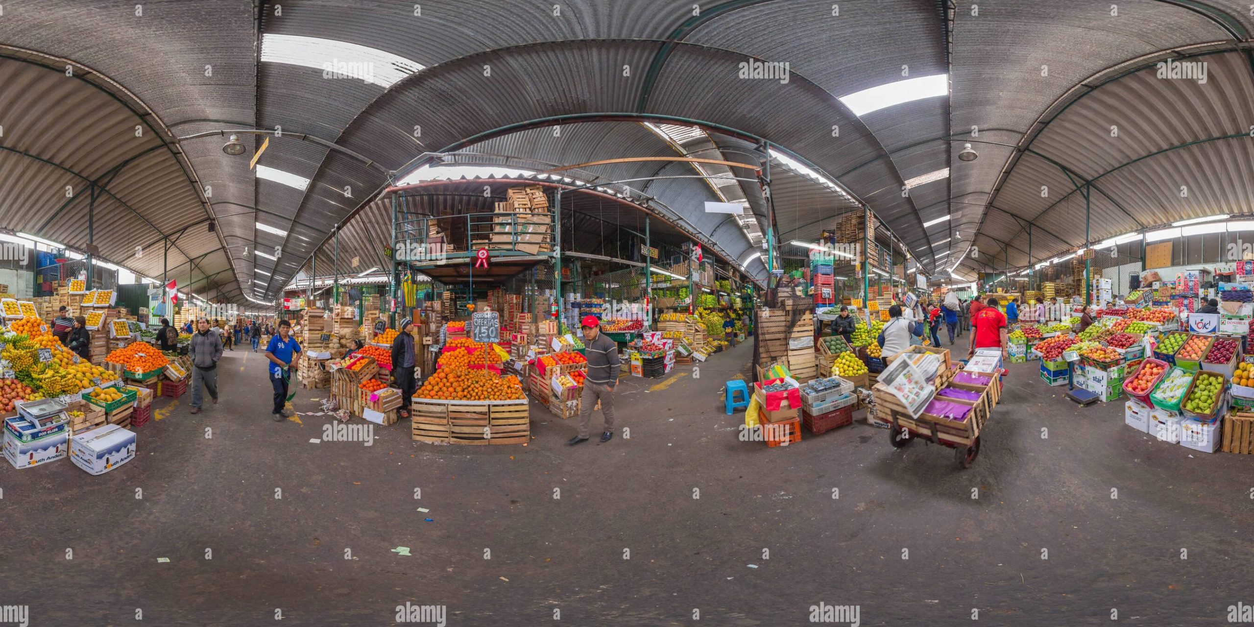 360 mercado 1 scaled