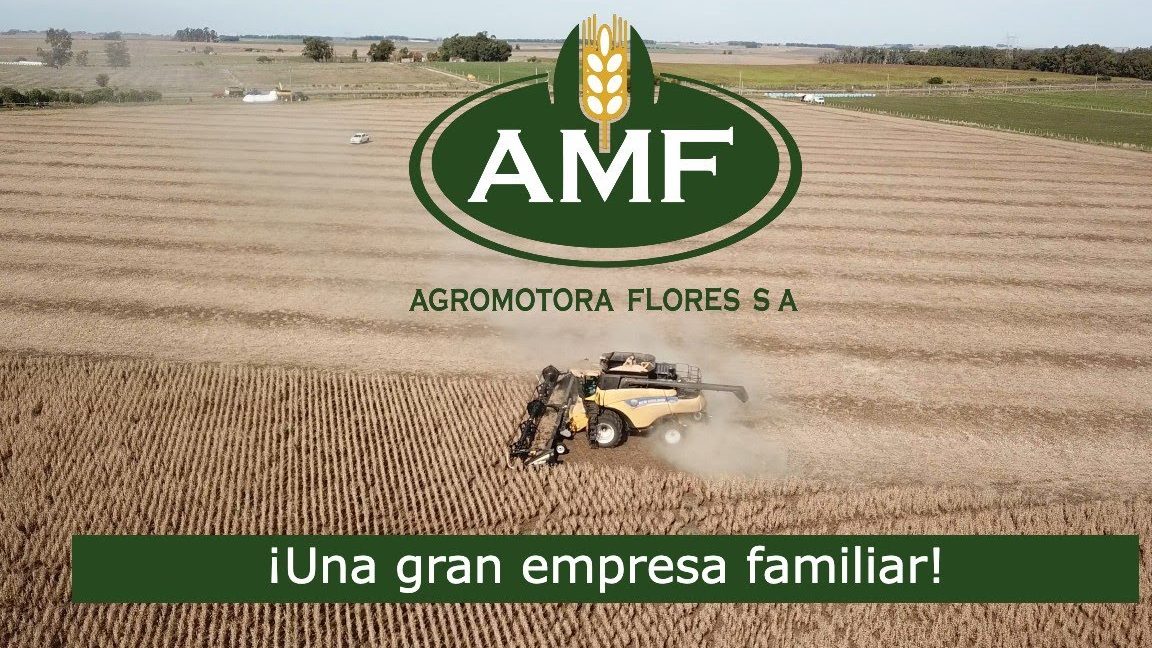 agromotora flores s a 1