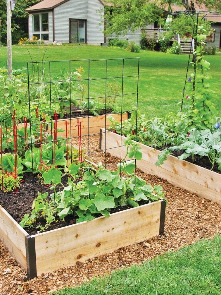 Box Garden 1 box garden