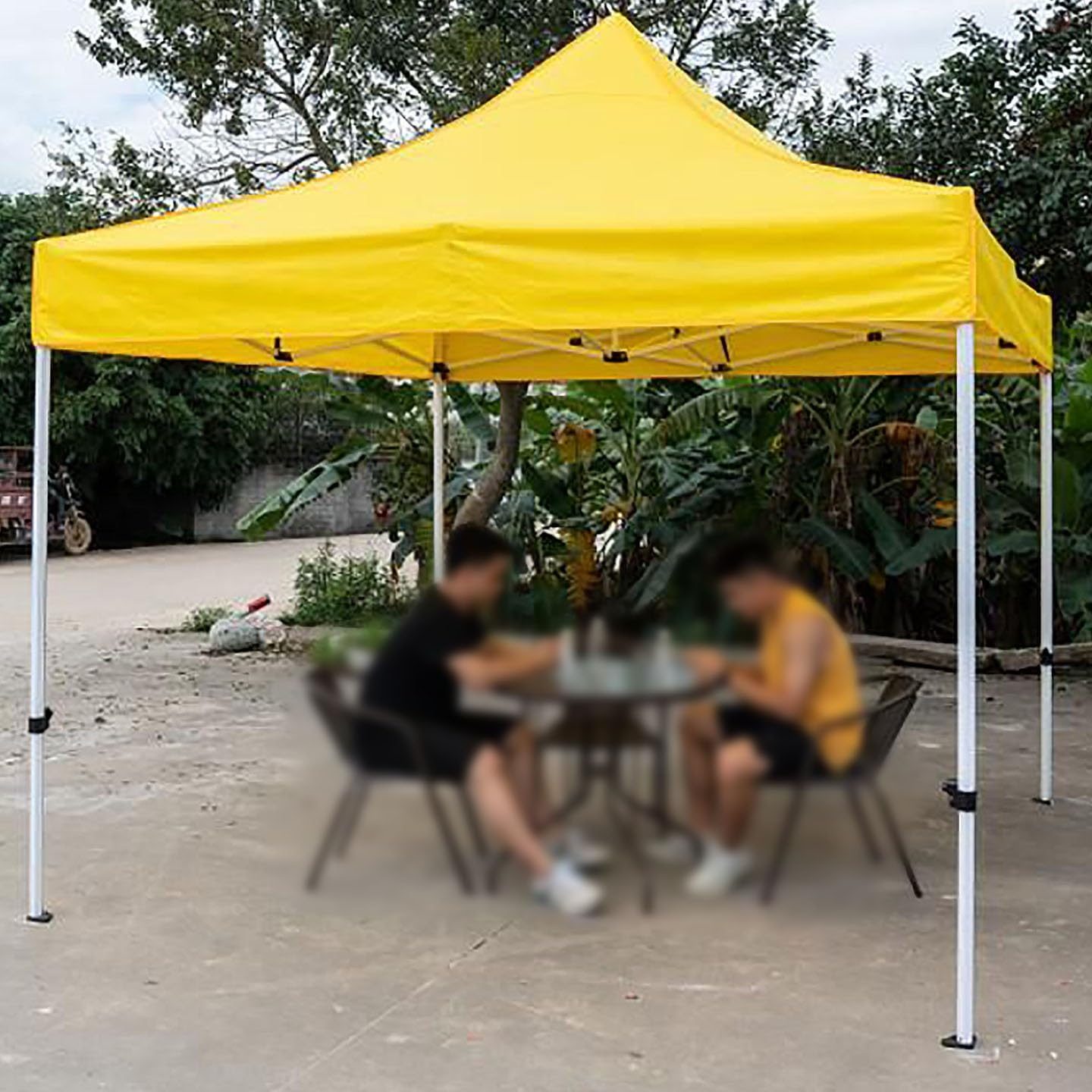 Carpa Amarilla 1 carpa amarilla 2
