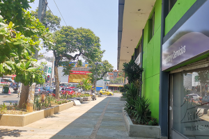 Centro comercial de sauce