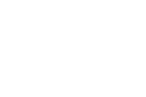 El Zorzal Agroinsumos