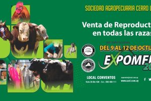 Explora los Mejores Mercados en Melo, Uruguay: Guía Completa 2025