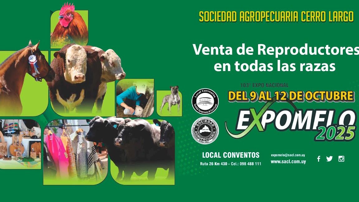 explora los mejores mercados en melo uruguay guia completa 2025