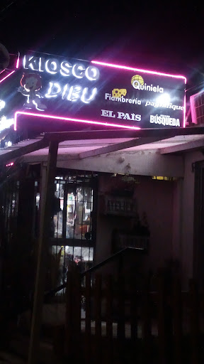 Kiosco Dibu