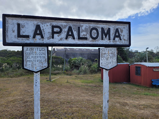 Museo La Paloma