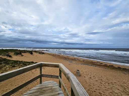 Mirador COLA DE BALLENA