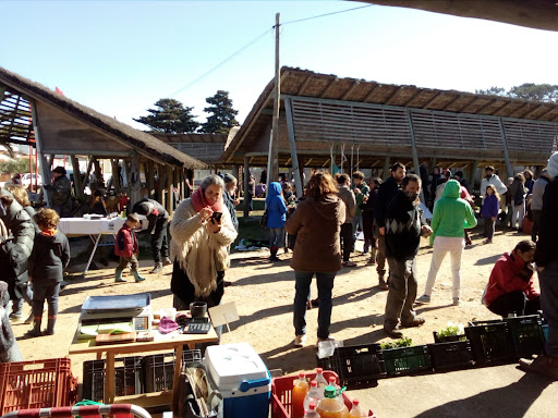 Espacio Feria Vecinal La Paloma