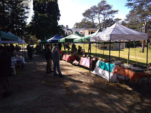 Feria Orgánica