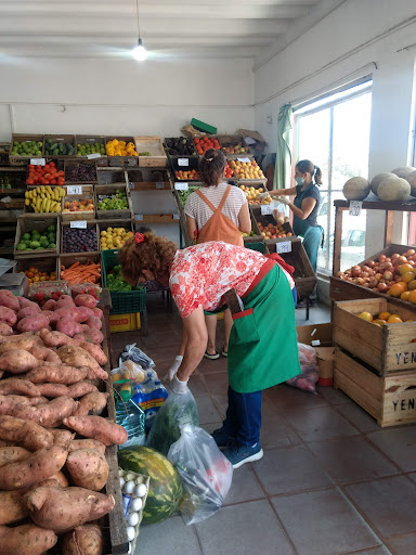 Mercado Menezes