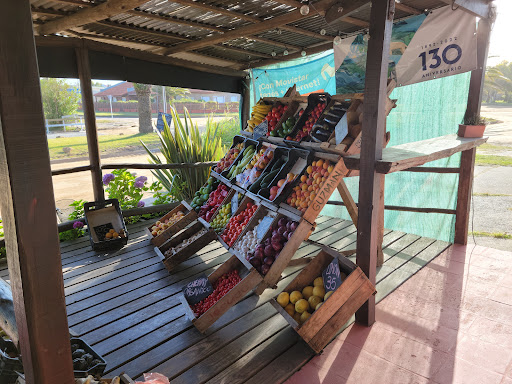 Mercado central frutas y verduras