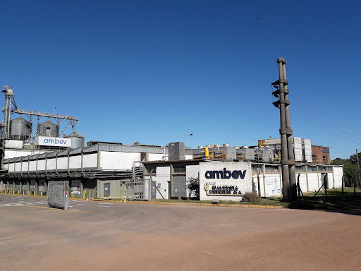 Maltería Uruguay MUSA (ambev)