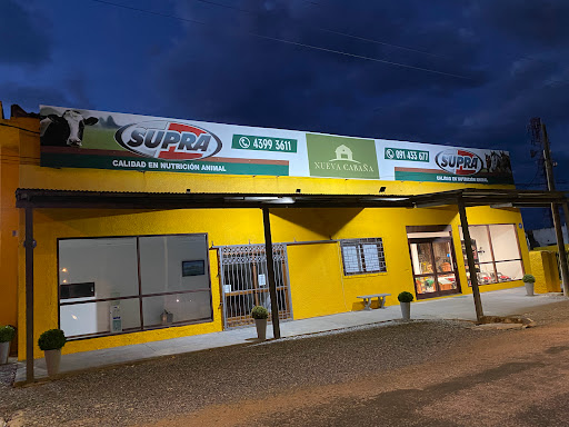 Nueva Cabaña