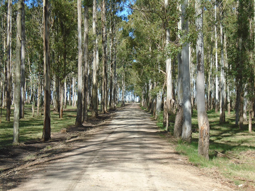 Parque Municipal de Ismael Cortinas