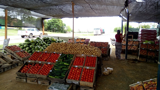 Mercado 18. Frutería