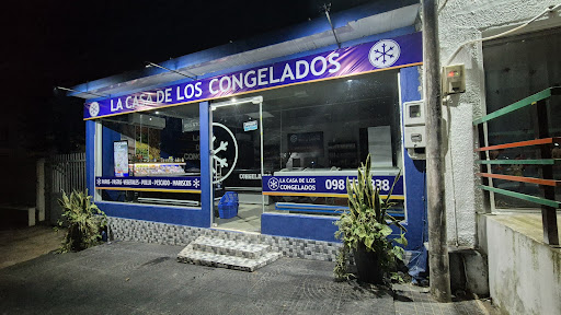 La Casa de los Congelados