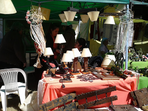 Feria Flores Silvestres