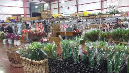 Mercado de Flores La Plata