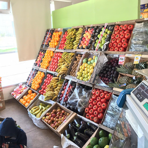 FRUTERIA Y VERDULERIA MODELO