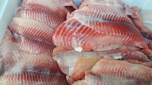 Pescado Fresco