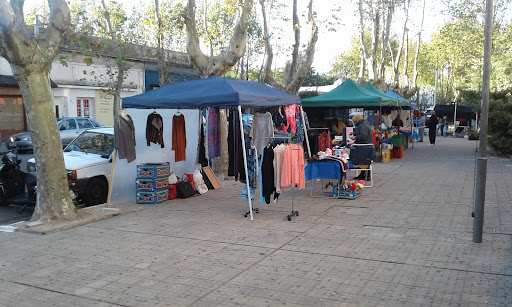 Feria Productores De Colonia