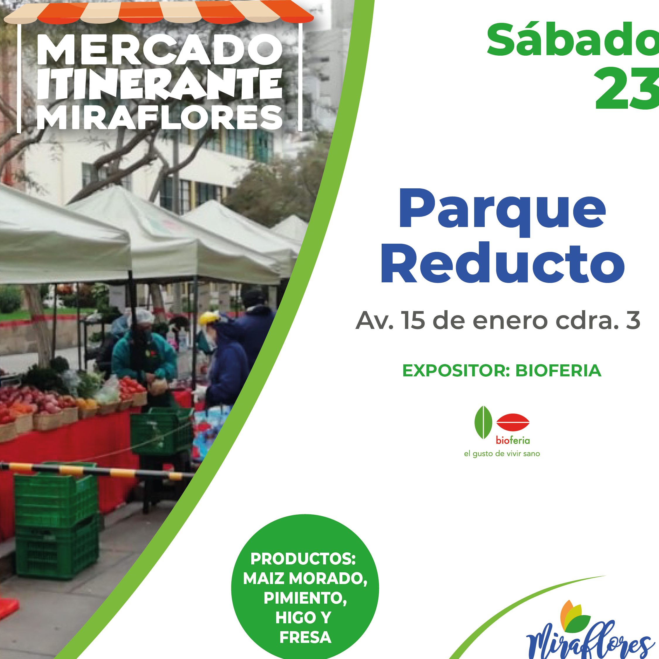 FERIA DE REDUCTO (Sabados) 1 feria de reducto sabados