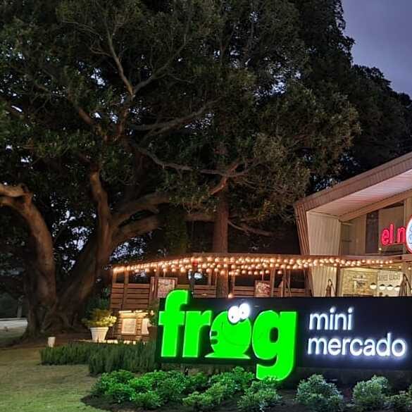frog maxishop 24