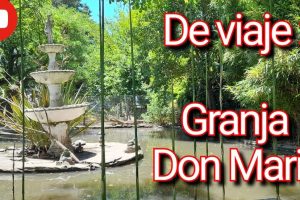 Granja Don Marcos 4 Granja Don Marcos