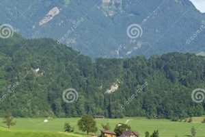 Granja Suiza