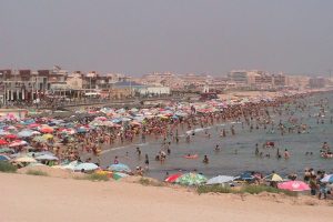 La mata