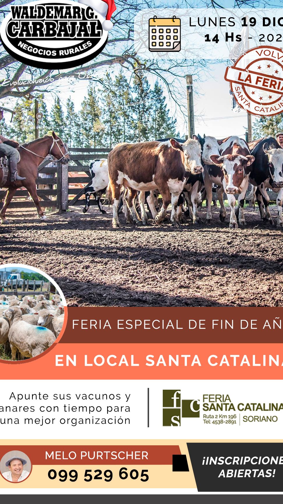 local feria de santa catalina soriano