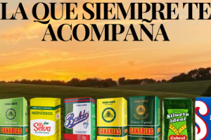 “Magus Mayorista”