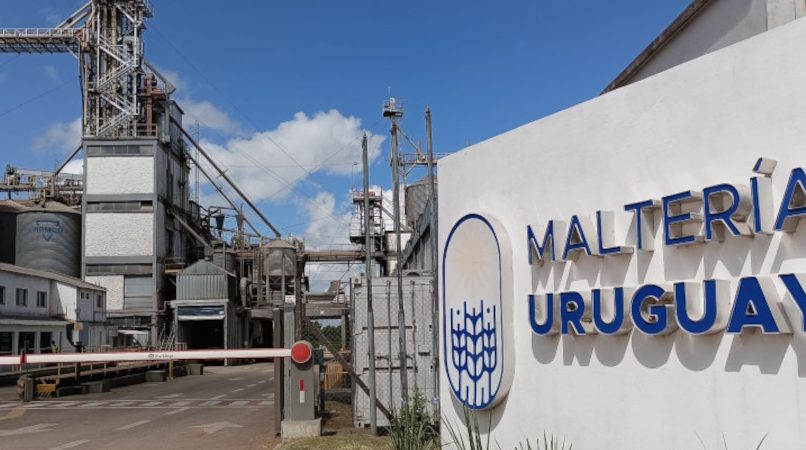 malteria uruguay musa ambev