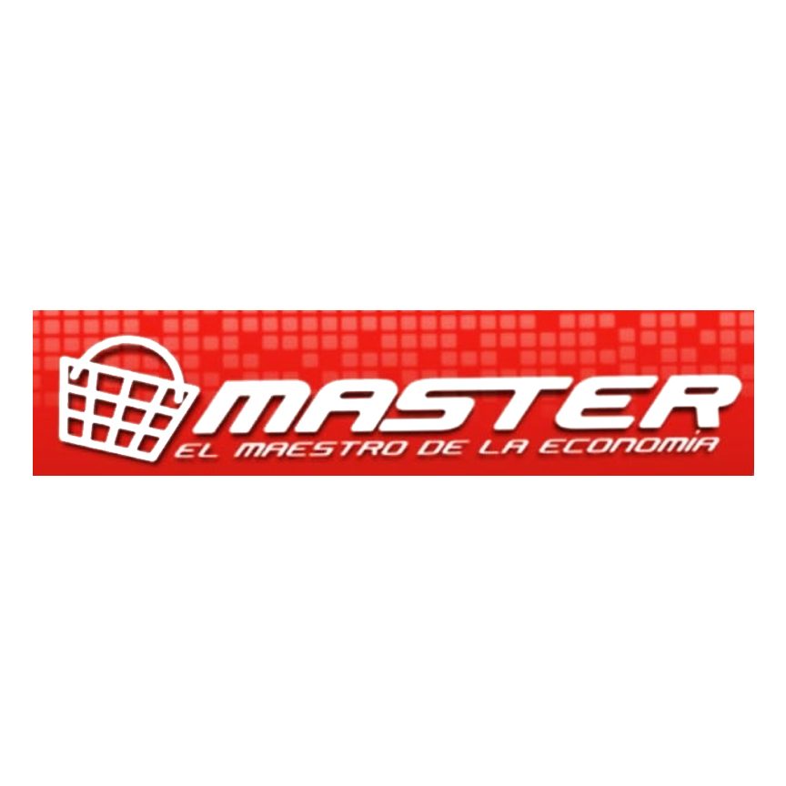 master el maestro de la economia