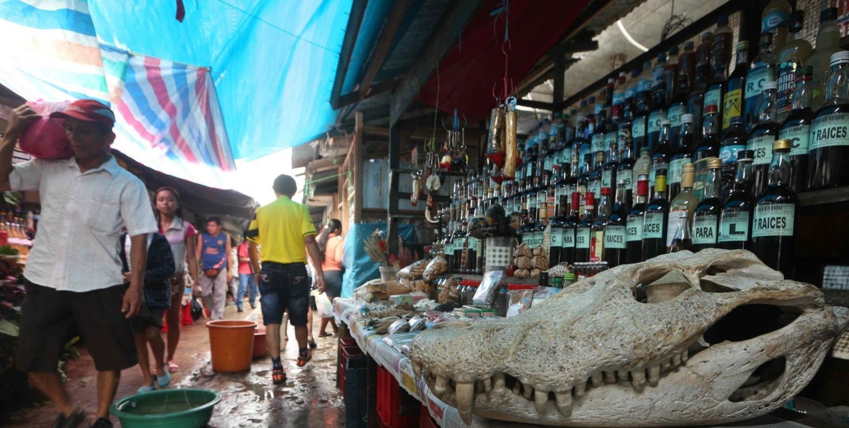 Mercado Belén 1 mercado belen