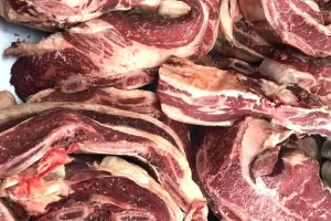 Mercado de Carnes del Campo