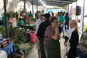 Mercado de Cercanía 6 Mercado de Cercanía