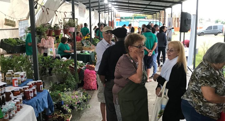 Mercado de Cercanía 1 mercado de cercania