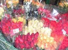 Mercado de Flores La Plata