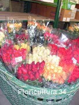 Mercado de Flores La Plata 1 mercado de flores la plata 1