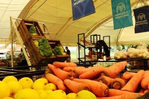 Mercado de frutas y verduras santa rosa
