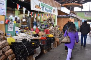 Mercado Particular de Constitución