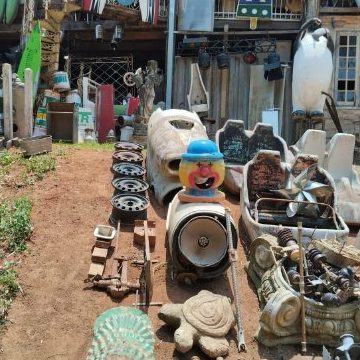 mercado surpresa