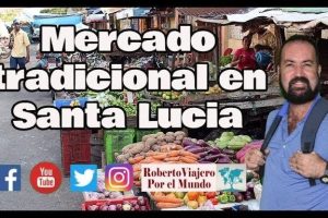 Mercados en Santa Lucía, Uruguay: Guía Completa de los Mejores Mercados Locales