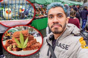 Mercados en Sarandí del Yí, Uruguay: Guía Completa para Visitarlos y Descubrir sus Productos Locales