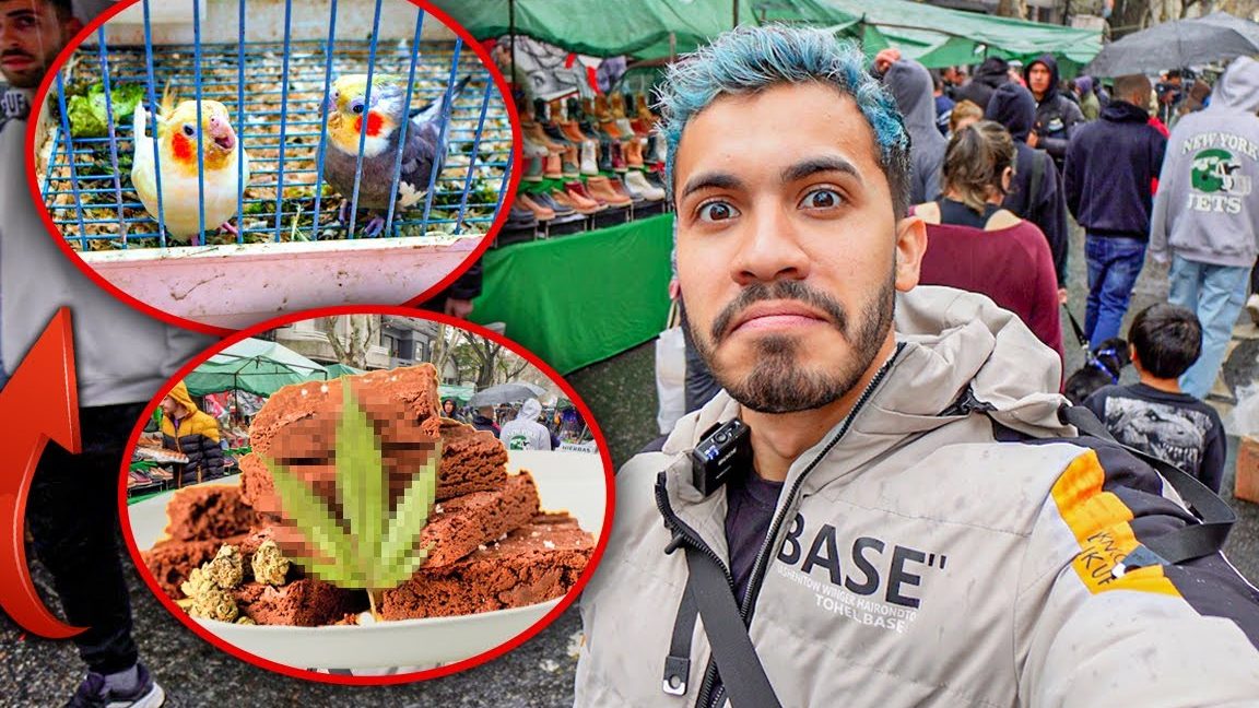 Mercados en Sarandí del Yí, Uruguay: Guía Completa para Visitarlos y Descubrir sus Productos Locales 1 mercados en sarandi del yi uruguay guia completa para visitarlos y descubrir sus productos locales