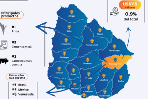 Mercados en Treinta y Tres, Uruguay: Todo lo que Necesitas Saber