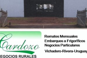 Mercados en Vichadero, Uruguay: Todo lo que Necesitas Saber sobre sus Ofertas y Horarios