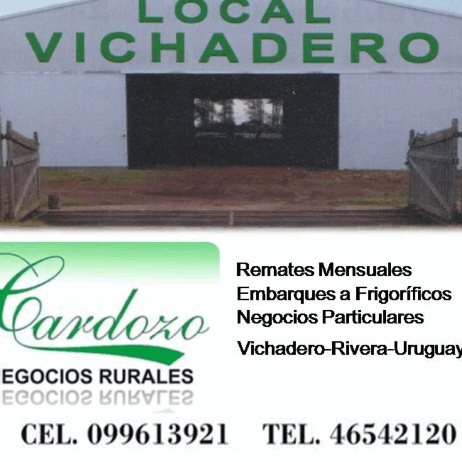 mercados en vichadero uruguay todo lo que necesitas saber sobre sus ofertas y horarios