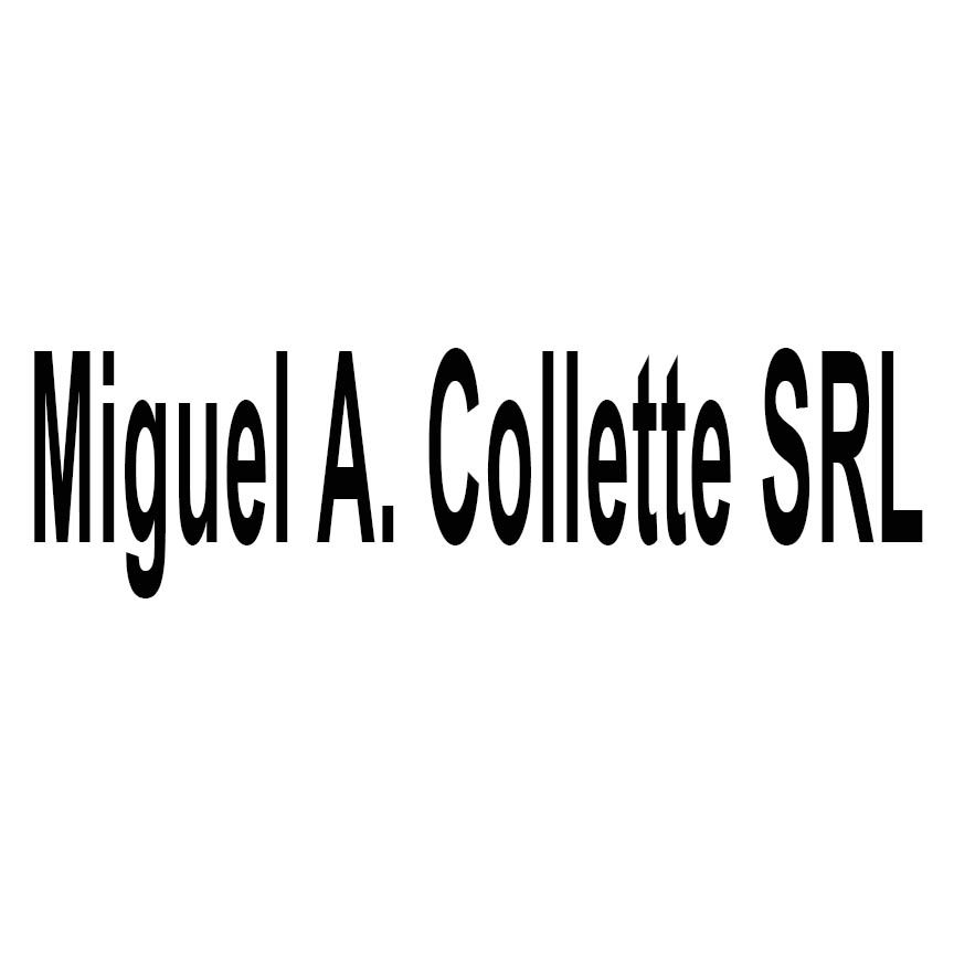miguel a collette srl